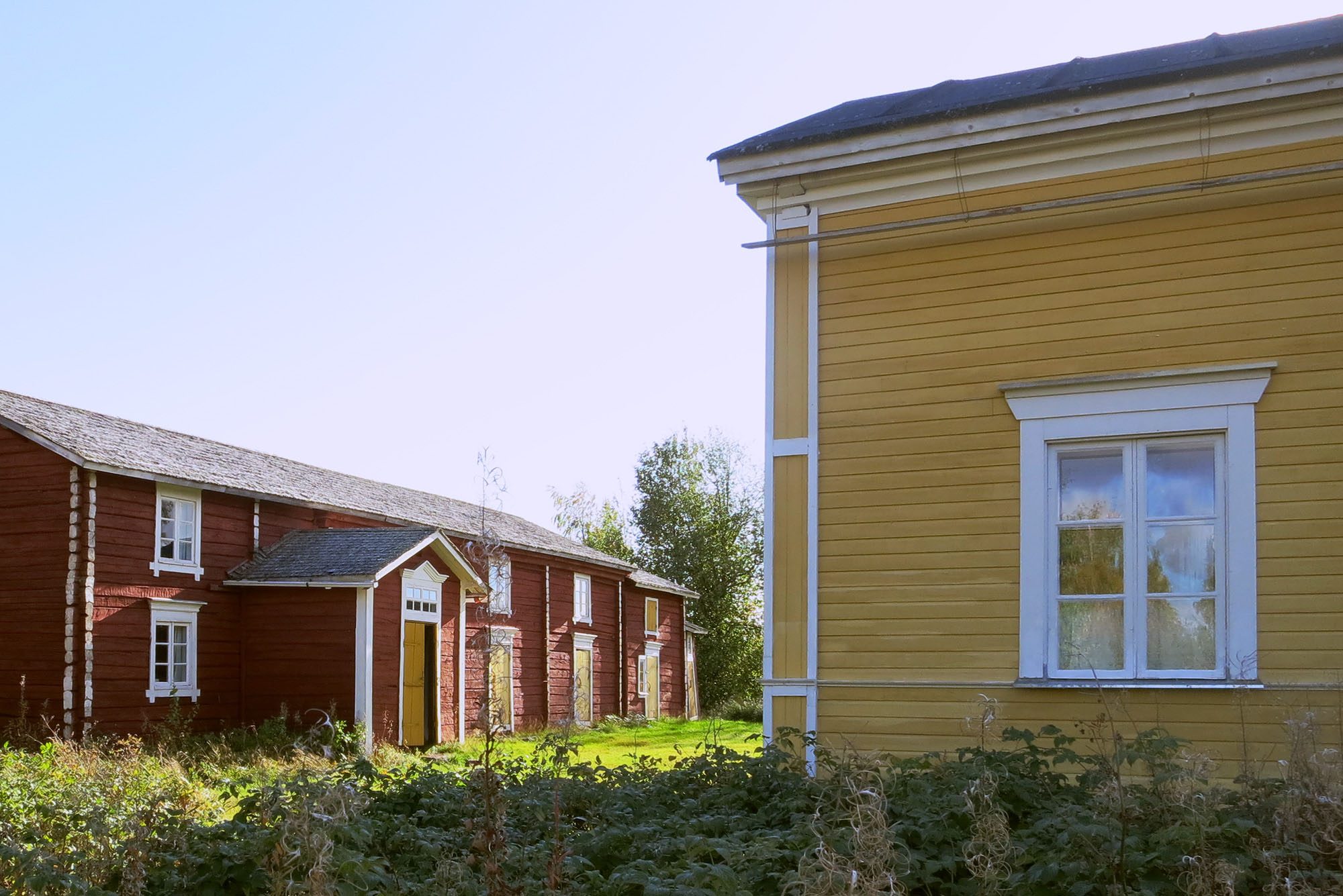 Museoviranomaisen erityisosaaminen mukana päätöksenteossa