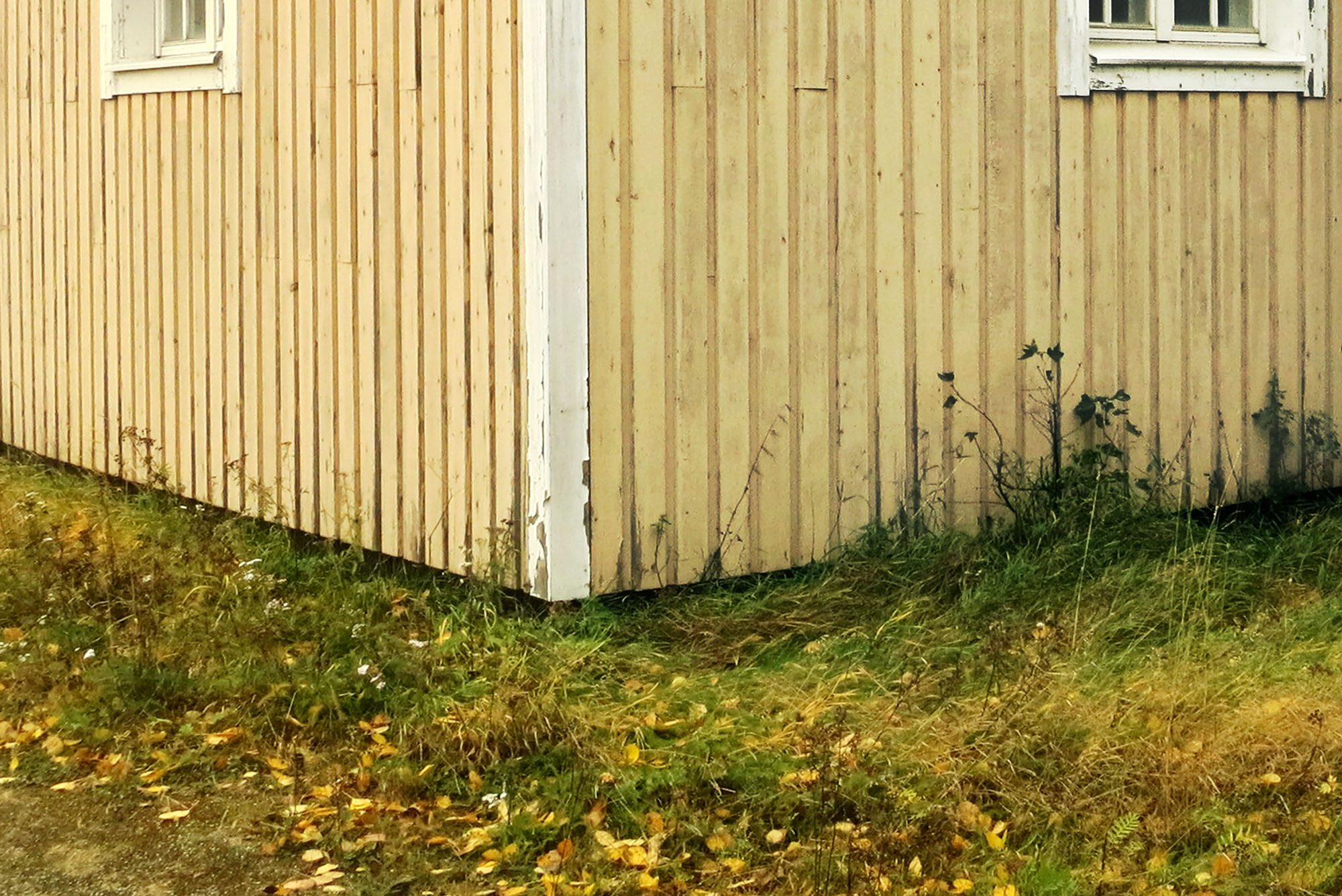 Tarkkaile kulttuurikerrosta!